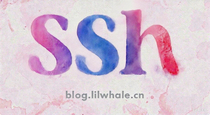 学会配置 ~/.ssh/config 文件：统一管理多服务器、简化登录流程-渔网札记